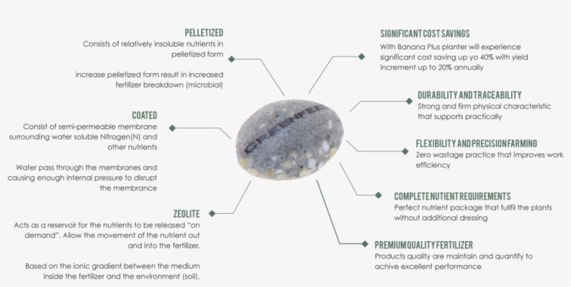 Banana Diagram - Igneous Rock, transparent png #8312267