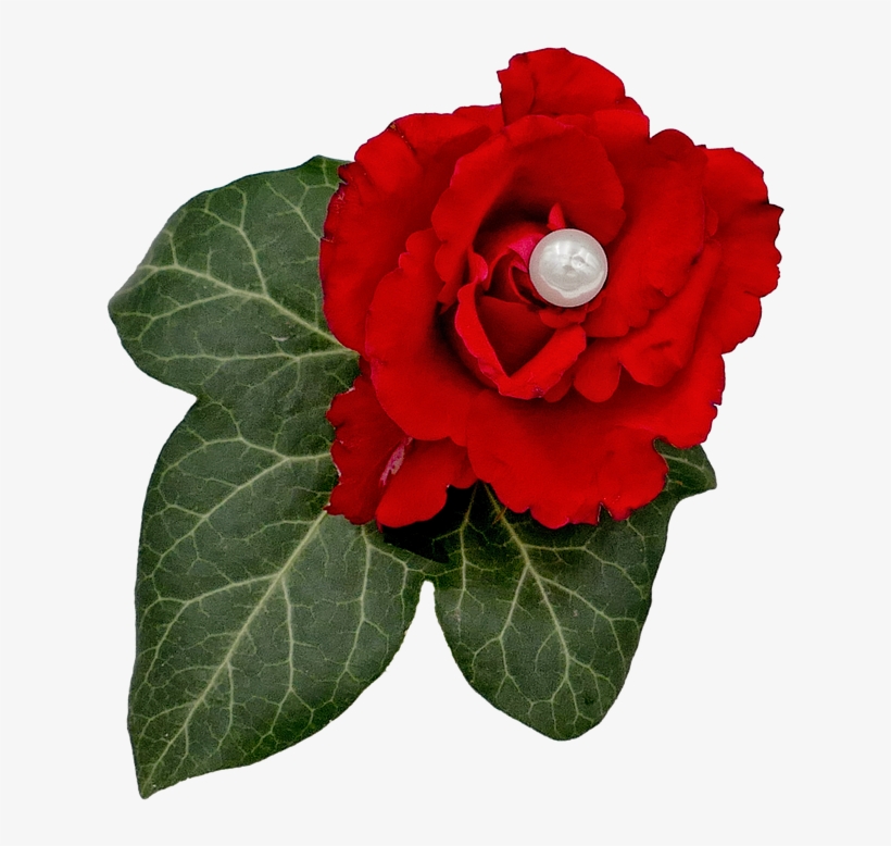 Wedding, Rose, Pearl, Ivy, Floral Decorations, Love - Begonia, transparent png #8312269