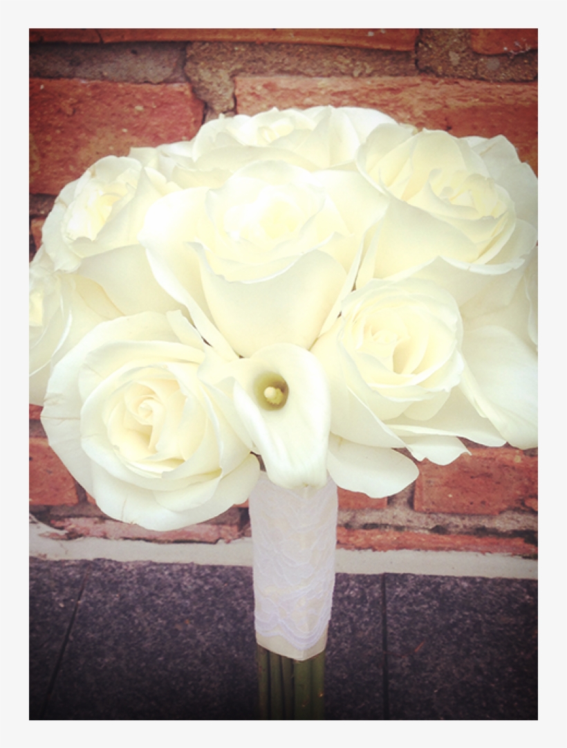 Garden Roses, transparent png #8312336