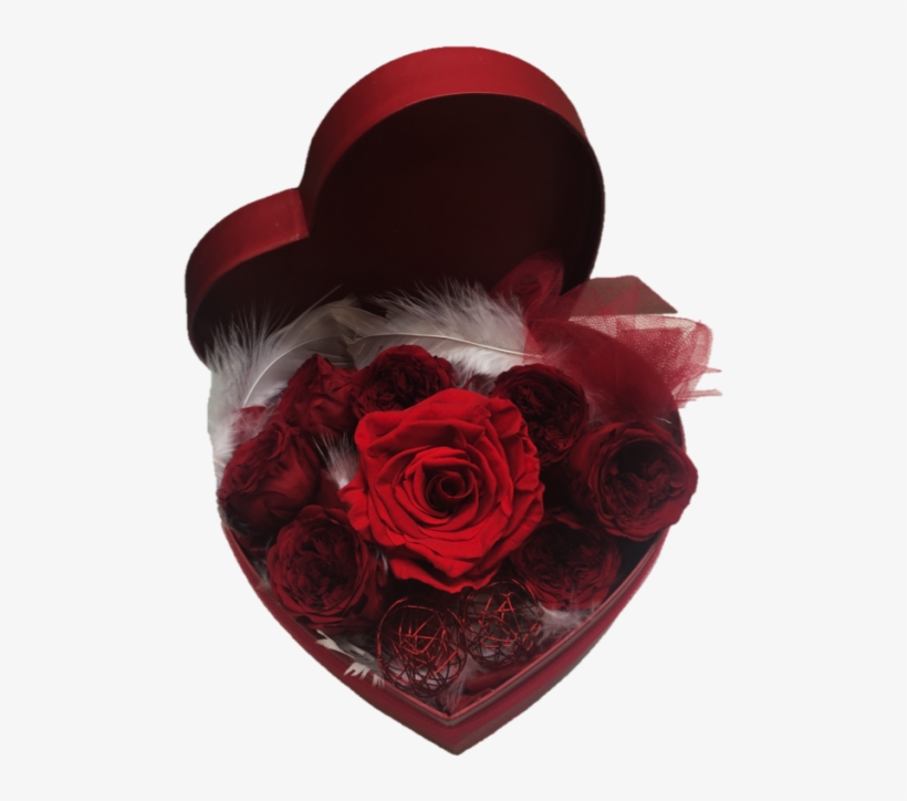 Preserved Rose Box - Garden Roses, transparent png #8312394