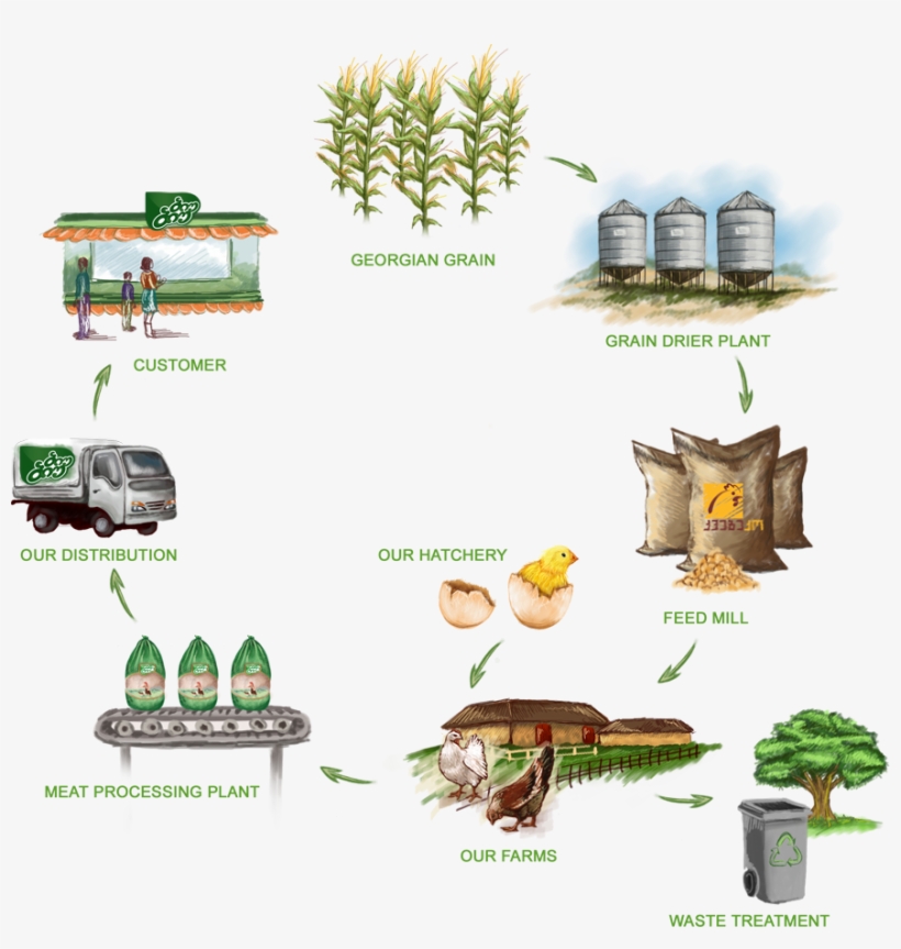 The Quality At Each Stage Of The Production Starting - Illustration, transparent png #8312438