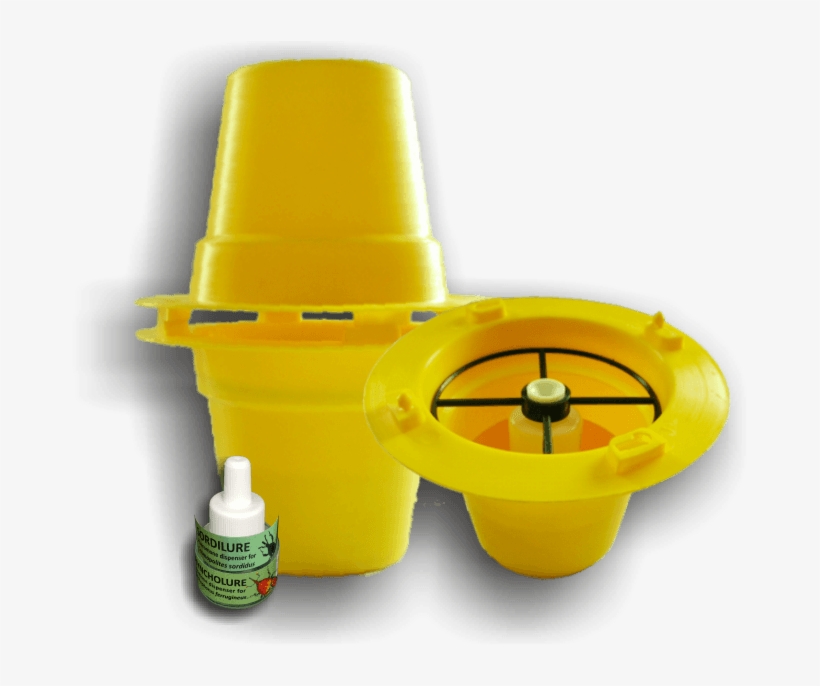 Bbw Pitfall Sordilure Pitfall Cosmogel - Tap, transparent png #8312748