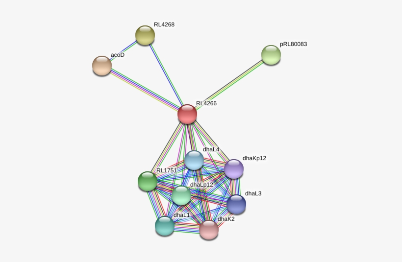 Rl4266 Protein - Circle, transparent png #8312921