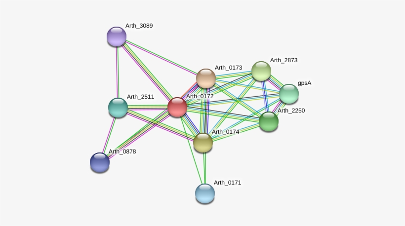 Dhak Png, transparent png #8313213