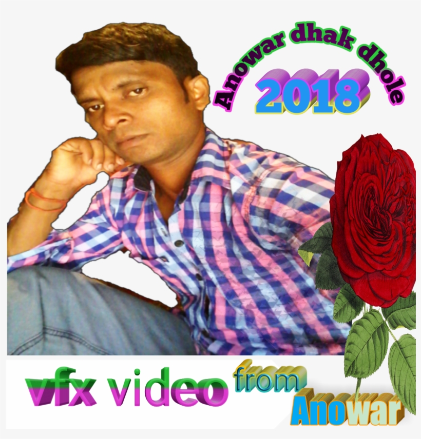 Anowar Dhak Dhole - Garden Roses, transparent png #8313610