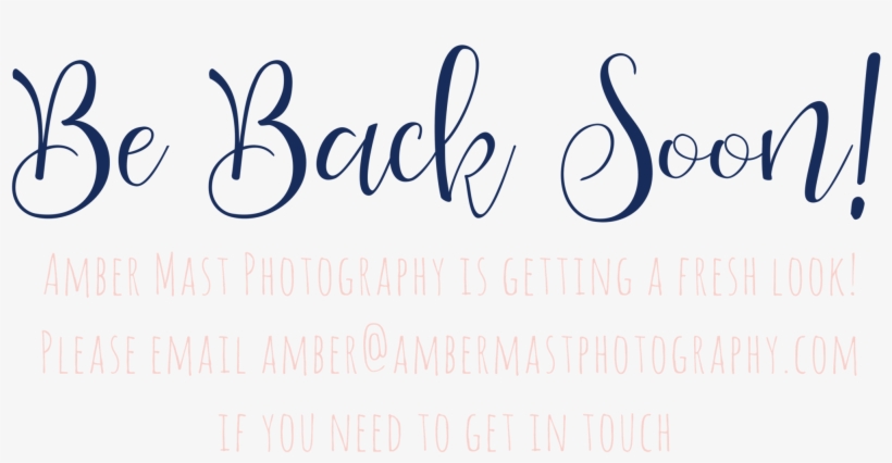 Amber Mast Photography Logo Ideas 1 - Calligraphy, transparent png #8313821