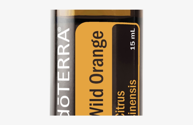 Wild Orange Oil You Need This - Publication, transparent png #8315283