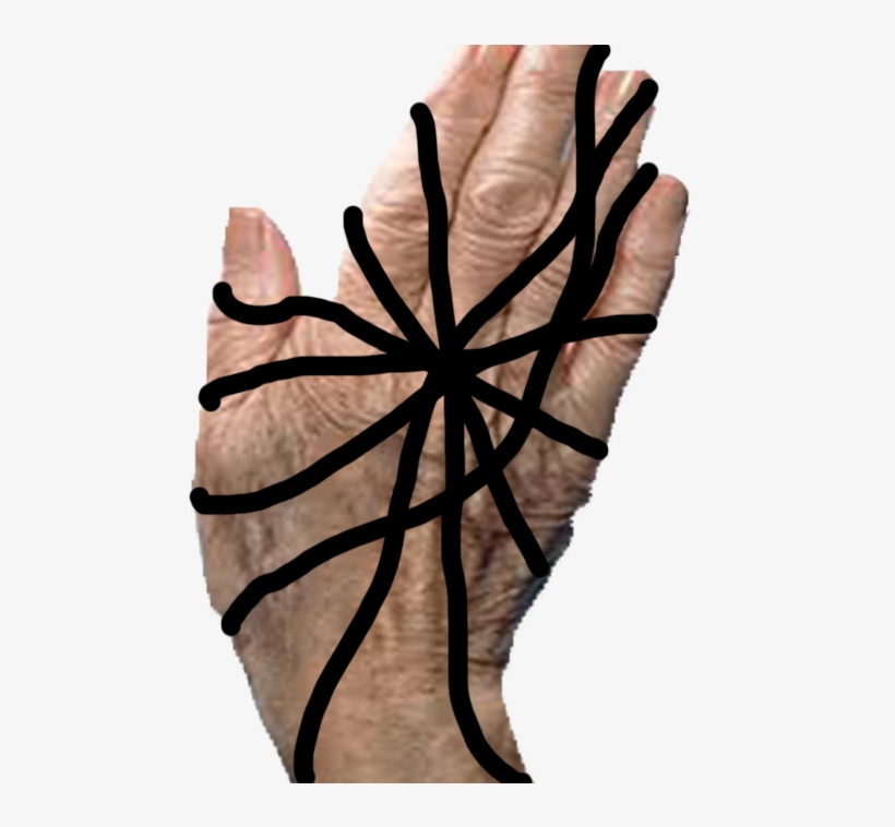H2xv0bo - Illustration, transparent png #8315527