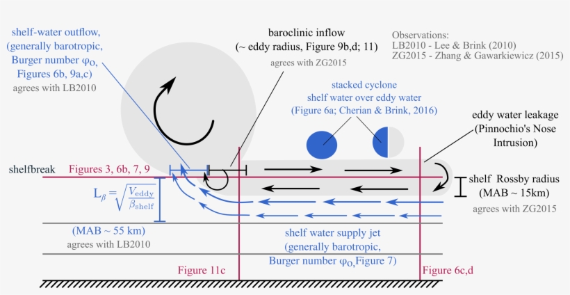 Shelf Flow Summary - Diagram, transparent png #8315613