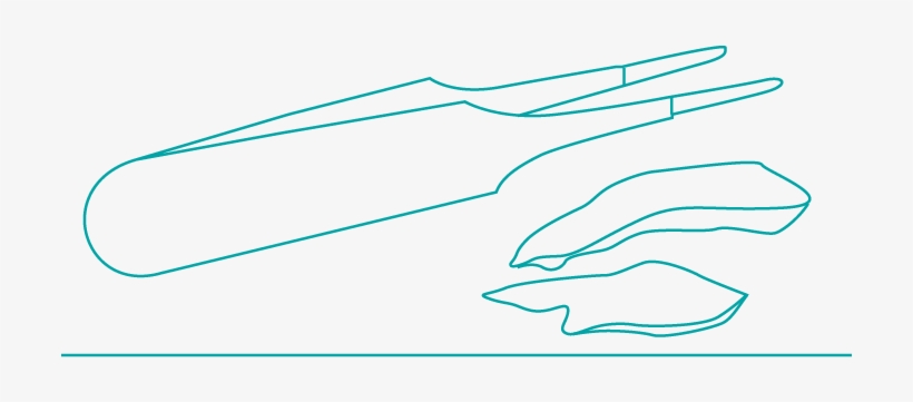 Fossil Detectives - Diagram, transparent png #8315930