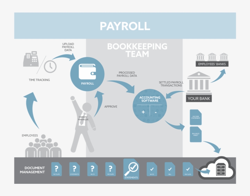 Flowchart-payroll, transparent png #8316369