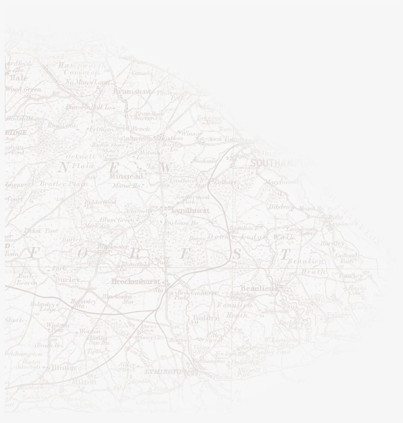 New Forest National Park, transparent png #8316693