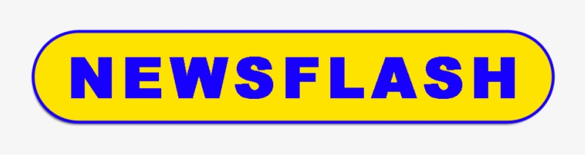 Newsflash Distress Centre - Orange, transparent png #8317268