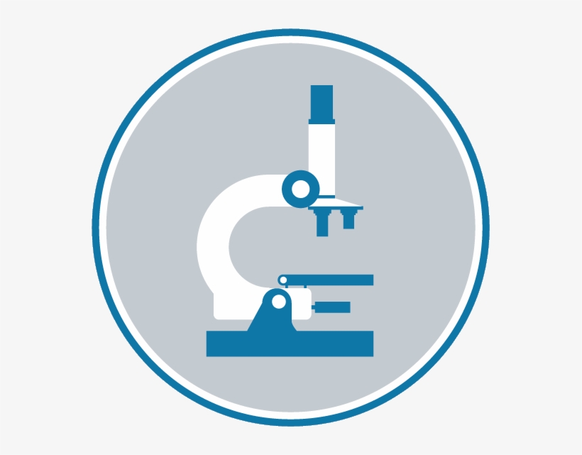 Research Ethics Policy - Circle, transparent png #8319179