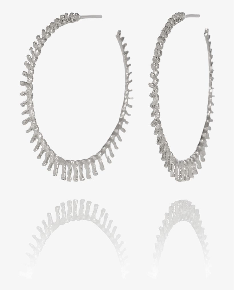 Asterias Hoop Earrings - Earring, transparent png #8319278