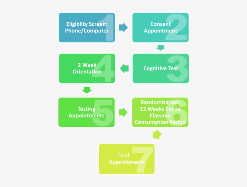 Our Research Assistants Work To Ensure That Participants - Parallel, transparent png #8319604
