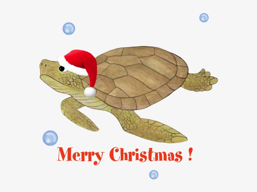 Favorite - Merry Christmas Sea Turtle, transparent png #8320101