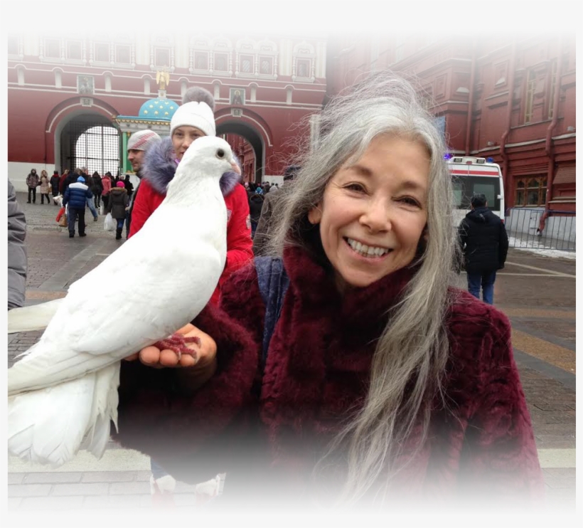 Pigeons And Doves, transparent png #8322754