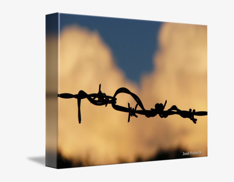Barbed Wire City - Barbed Wire, transparent png #8322861