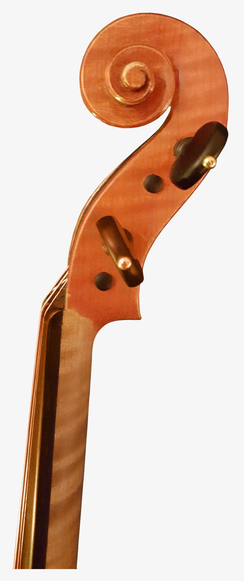 E9yp9f8ab53vmidm7wyz - Viola, transparent png #8323653