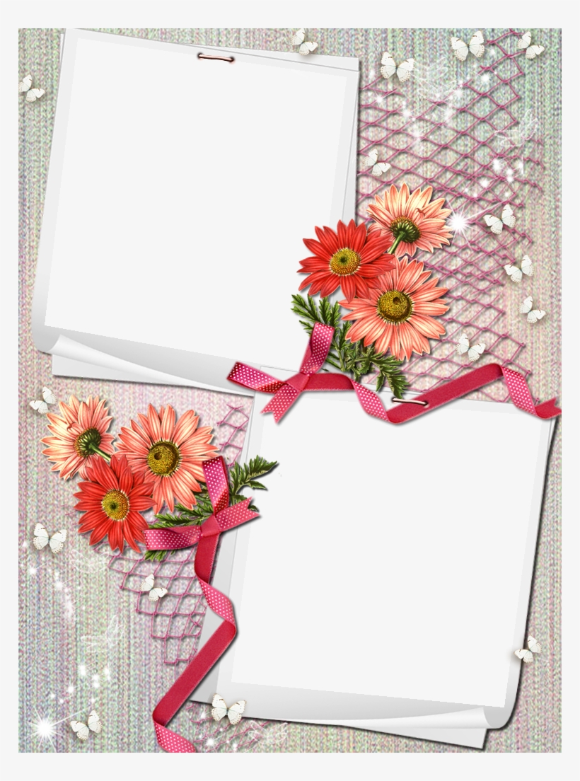 Pin Uživatele Mária Pospíšilová Na Nástěnce My Png - Daisy, transparent png #8323662