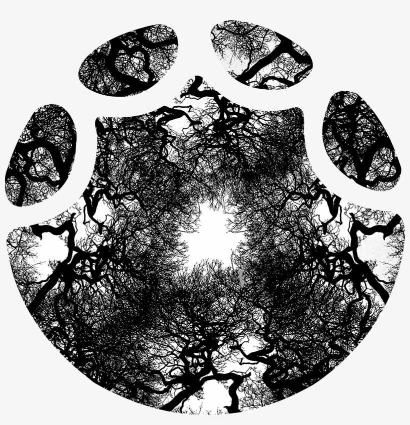 Free Free 349 Elephant Footprint Svg SVG PNG EPS DXF File
