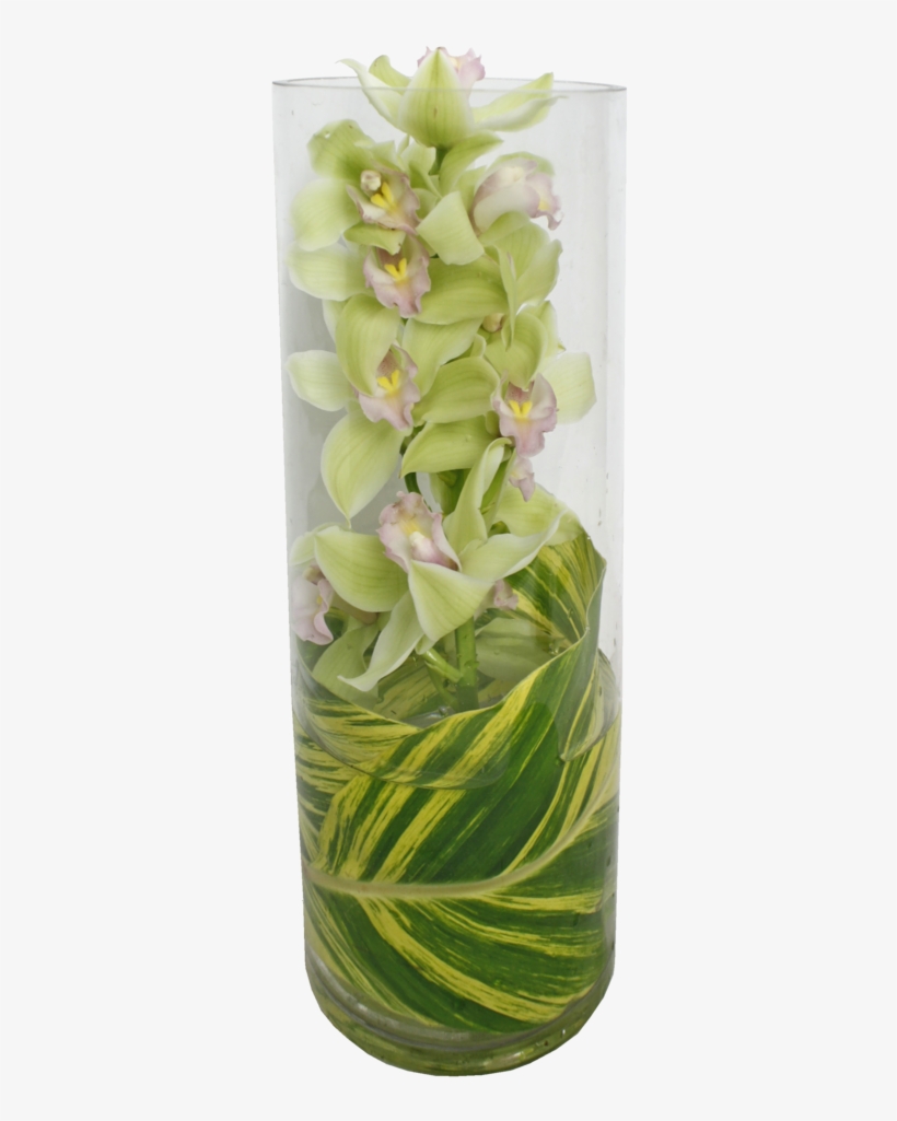 Cymbidium Orchid In Glass Tube, Perfect For A Modern - Vase, transparent png #8324145