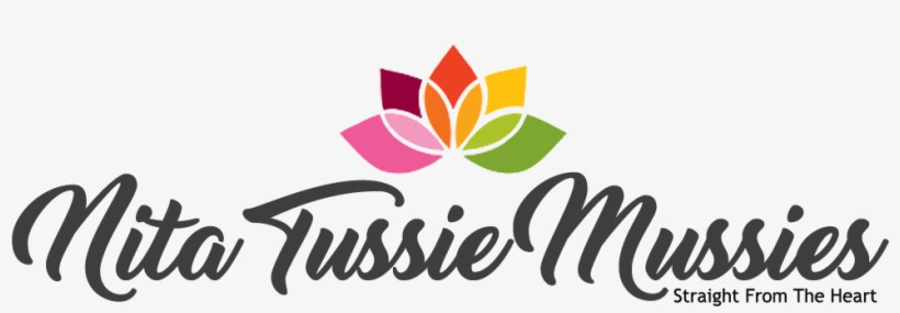 Search For - Graphic Design, transparent png #8324150