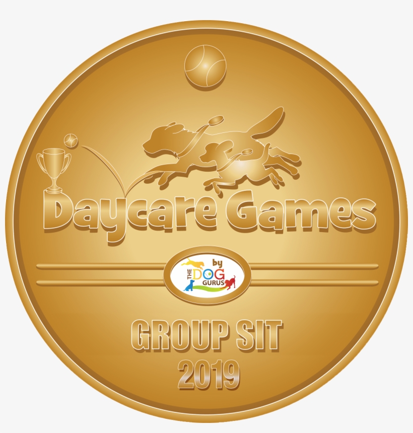 Download Gold Group Sit Medal - Badge, transparent png #8325637