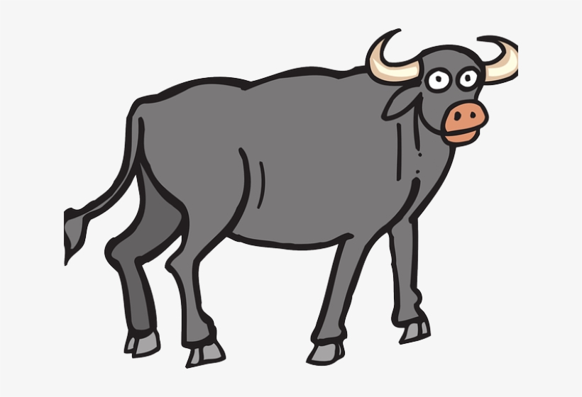 Ox Clipart Toro - Buffalo Clipart, transparent png #8326530
