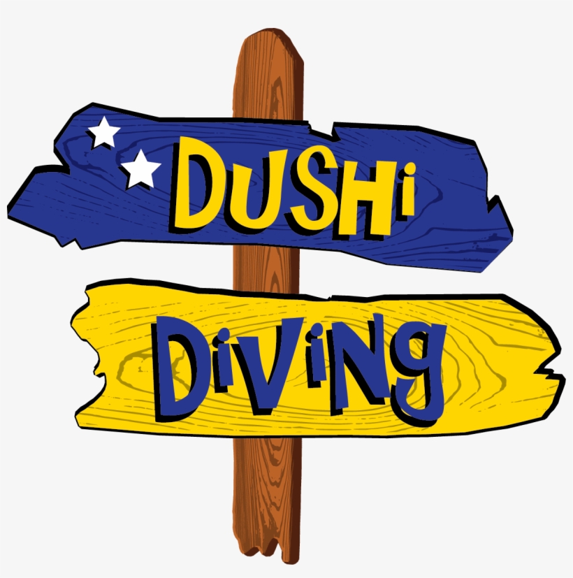 We Offer Guided Dives, Introduction Dives, And Courses, transparent png #8326602