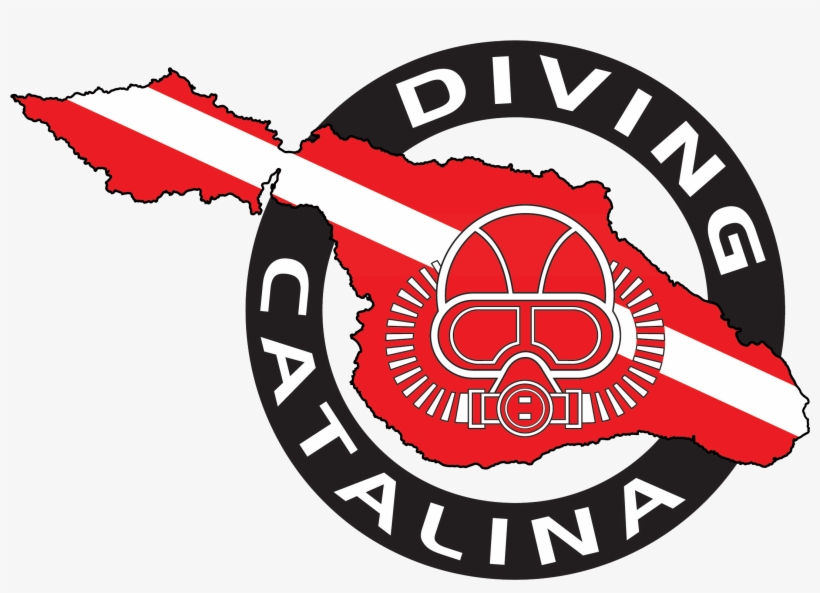 Scuba Diver Transparent Graphics, transparent png #8326688