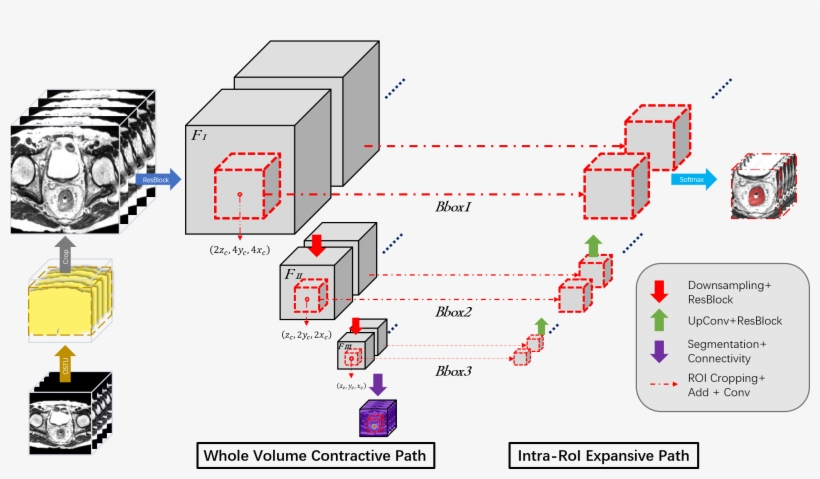 Yam Peleg Liked This - Diagram, transparent png #8326908