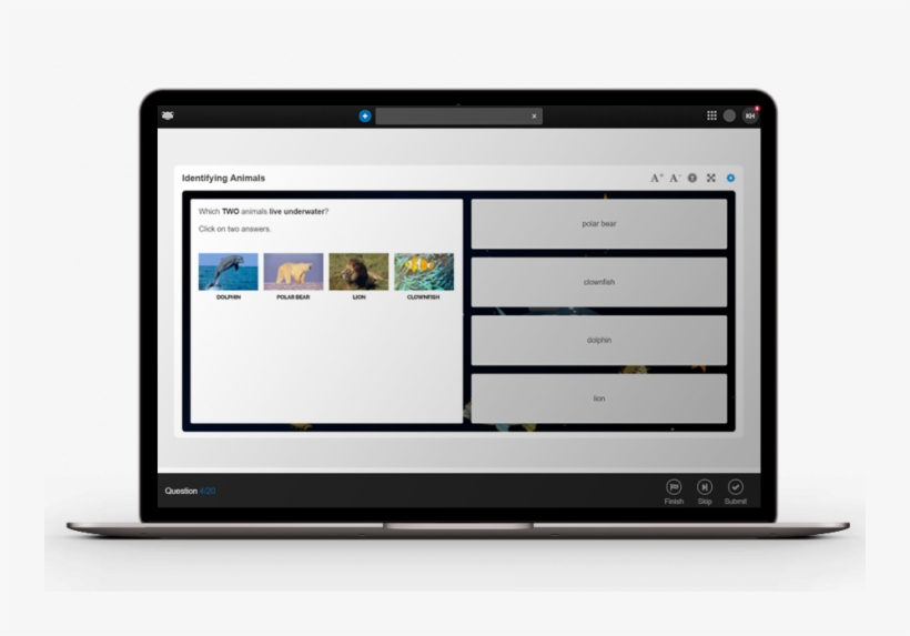 Laptop Mockups Playquiz - Personal Computer, transparent png #8328196