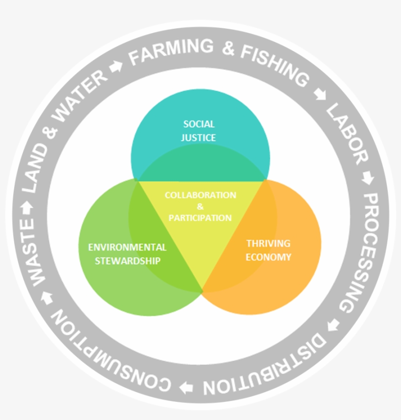 A Visual Representation Of The Food System - Whole Life Costing, transparent png #8329733
