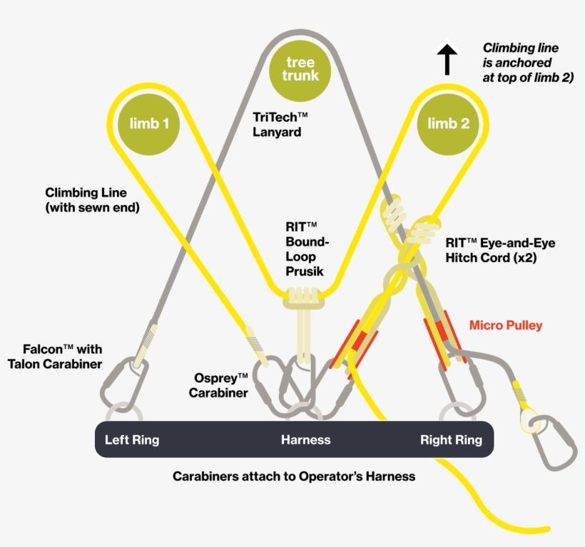 M System - Diagram, transparent png #8330510