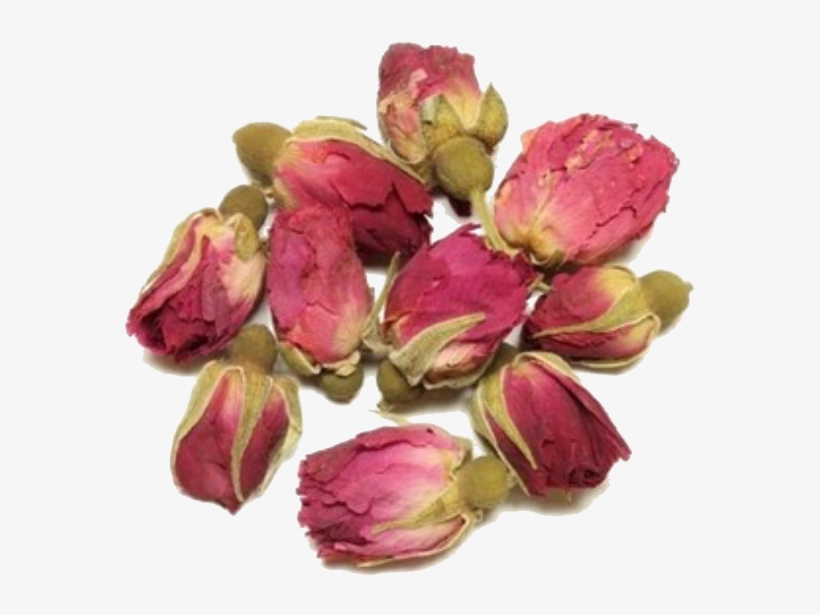 𝕴𝖈𝖊𝖑𝖆𝖓𝖉 𝕱𝖔𝖝 Rose Buds, The Selection, Forest - Artificial Flower, transparent png #8330793