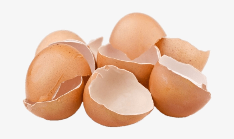 Food - Eggshells - Kulit Telur, transparent png #8331132