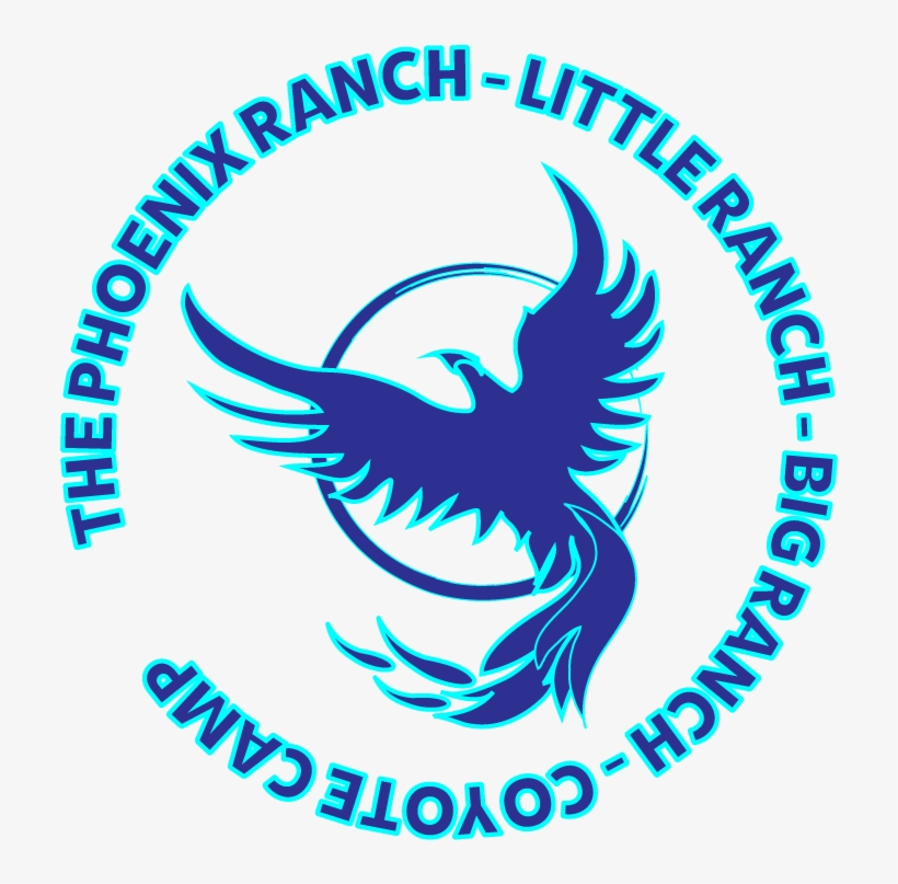 Phoenix Camps - Passport For Kids, transparent png #8331217