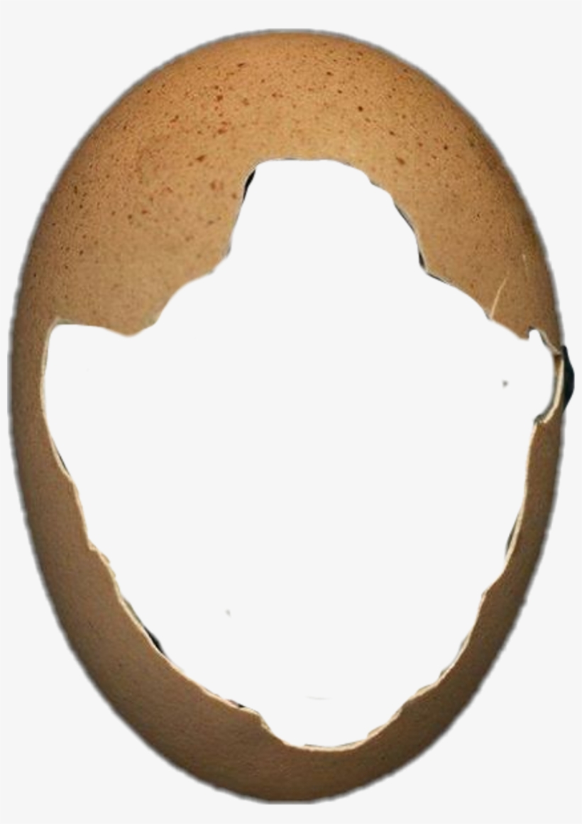 Report Abuse - Circle, transparent png #8331395