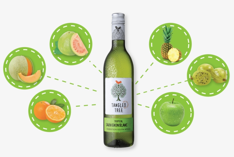 This Crisp And Fruity Sauvignon Blanc Has Bona Fide - Bacardi Cocktail, transparent png #8331590