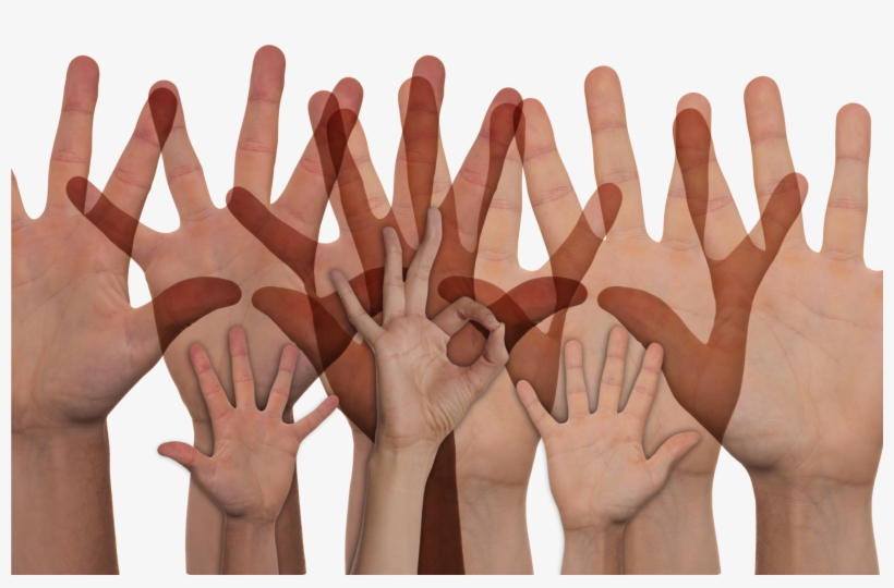 Volunteers - Hands Up - Participate, transparent png #8333024