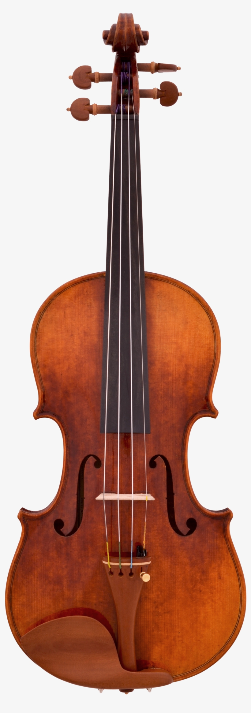 The Forough Violin - Five Stringed Cello, transparent png #8333158