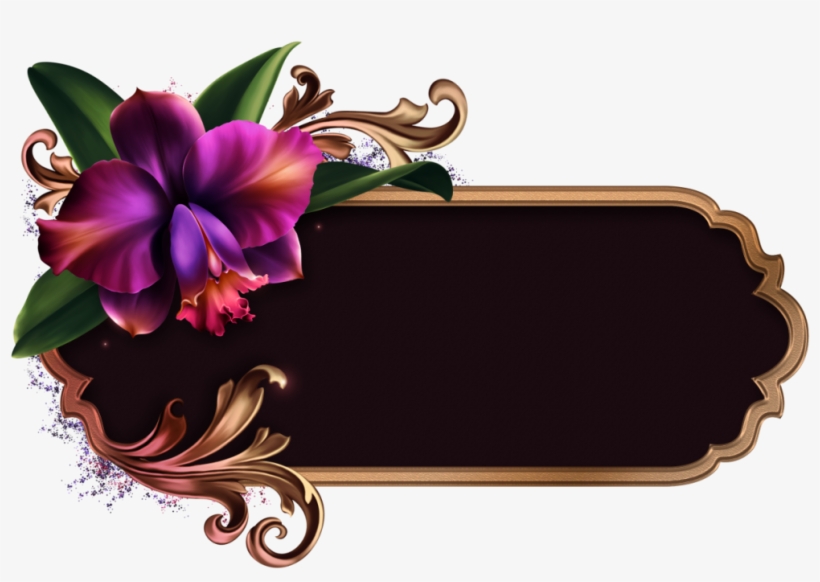 Romantic Orchids - Cattleya, transparent png #8333165