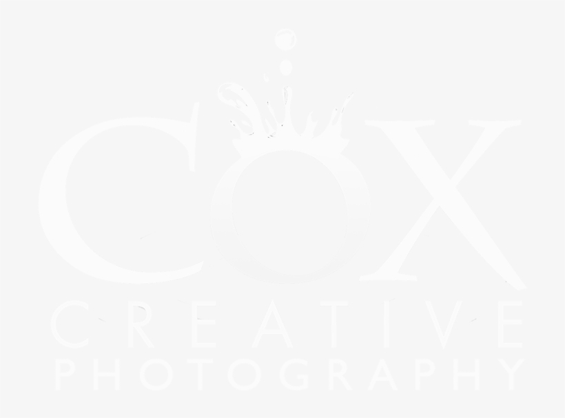 Cox Creative Photography - Zaker, transparent png #8333305