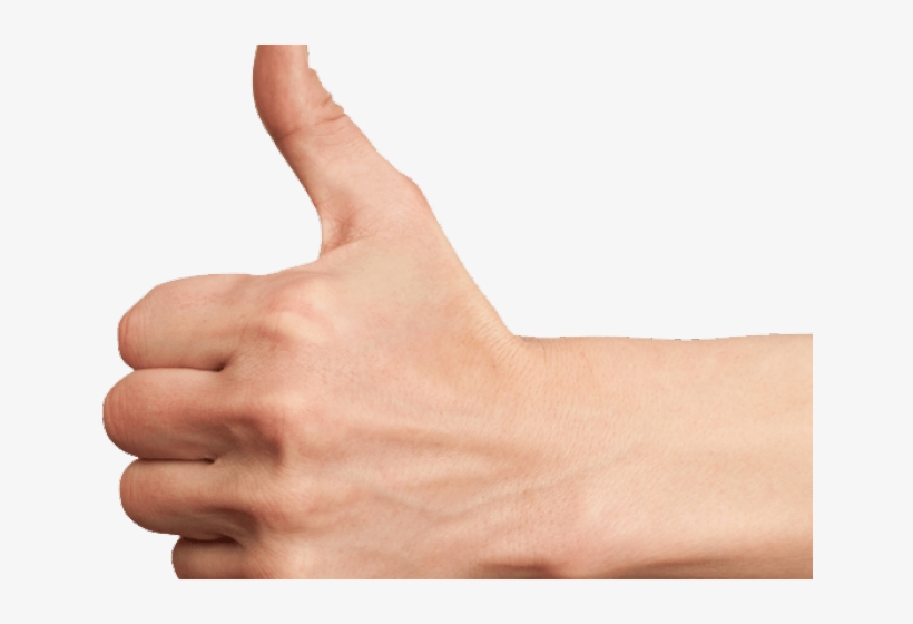 Thumbs Up Transparent Png - Thumb Up Hand Png, transparent png #8333393