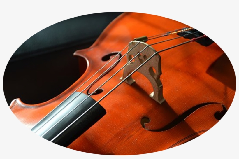 Violin And Viola - - Musical Instrument Photography Close Up, transparent png #8333626