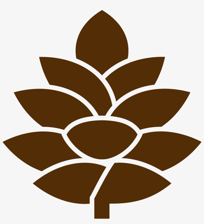 Floral Design, transparent png #8334894