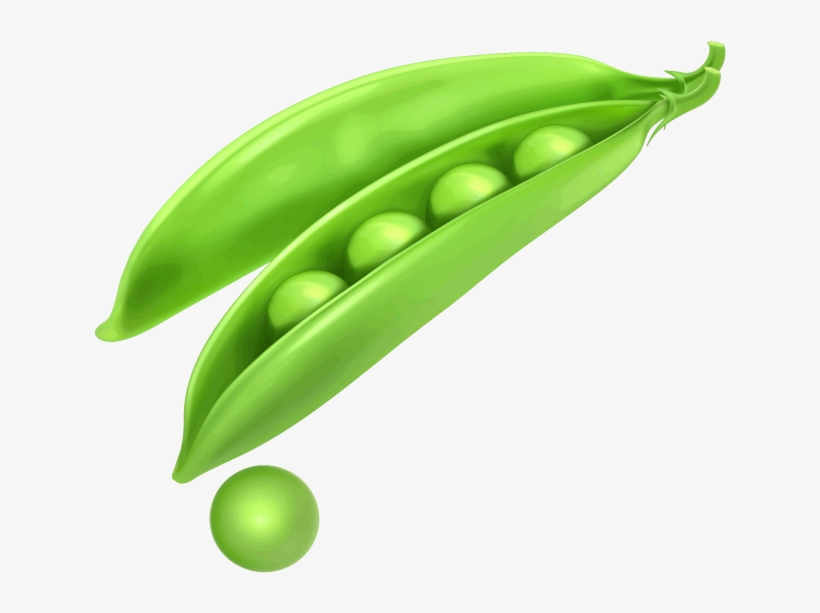 Peas Png Image Free Download Searchpng - رسم فاصولياء خضراء, transparent png #8335081