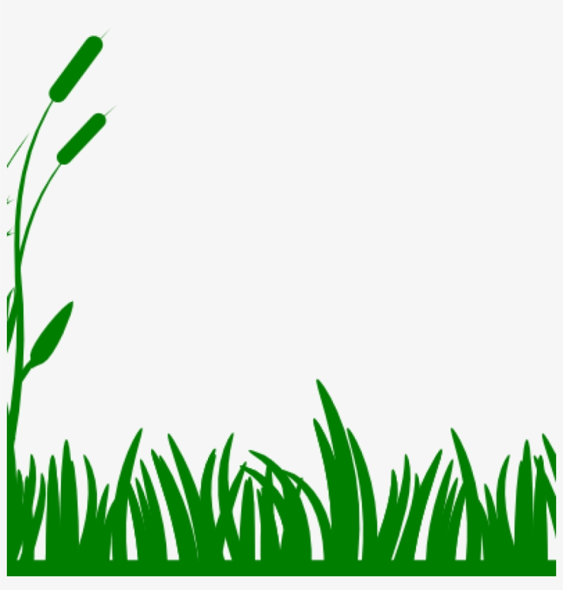 Green Grass Clip Art Greengrass Background Clipart - Outline Clip Art Grass, transparent png #8335420